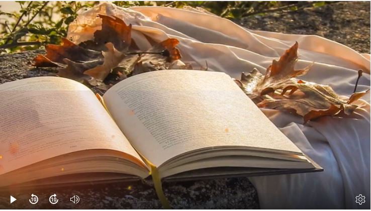 Diálogos con los Libros
